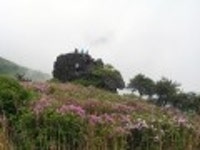 산행기 - 제암산-곰재산-사자산 보듬기