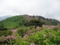 산행기 - 제암산-곰재산-사자산 보듬기