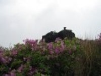 산행기 - 제암산-곰재산-사자산 보듬기