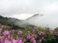 산행기 - 제암산-곰재산-사자산 보듬기