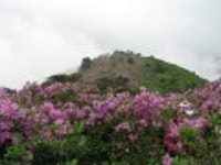 산행기 - 제암산-곰재산-사자산 보듬기