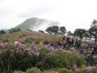 산행기 - 제암산-곰재산-사자산 보듬기