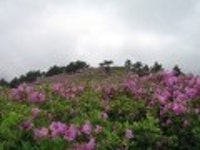 산행기 - 제암산-곰재산-사자산 보듬기