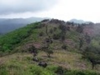 산행기 - 제암산-곰재산-사자산 보듬기