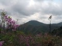 산행기 - 제암산-곰재산-사자산 보듬기