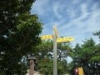 산행기 - 만날수 없어 애절한 선운산 꽃무릇