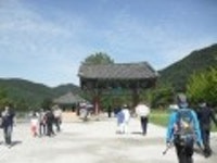 산행기 - 만날수 없어 애절한 선운산 꽃무릇