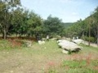 산행기 - 만날수 없어 애절한 선운산 꽃무릇