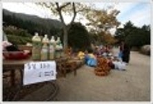 산행기 - ......................가을은 남녁 바다 끝까지......호남의 명산 천관산
