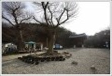 산행기 - ..............................................예산 가야산 석문봉