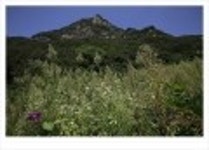 산행기 - ..............................  동강의 비경을 조망하는 산행.. . 동강 백 운 산..
