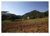 산행기 - ..............................  동강의 비경을 조망하는 산행.. . 동강 백 운 산..