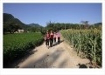 산행기 - ..............................  동강의 비경을 조망하는 산행.. . 동강 백 운 산..