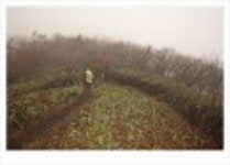 산행기 - ..................우중산행........... 장 안 산  (전북 장수 1237m)..