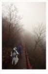 산행기 - ..................우중산행........... 장 안 산  (전북 장수 1237m)..