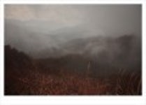 산행기 - ..................우중산행........... 장 안 산  (전북 장수 1237m)..