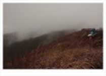 산행기 - ..................우중산행........... 장 안 산  (전북 장수 1237m)..