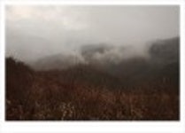 산행기 - ..................우중산행........... 장 안 산  (전북 장수 1237m)..