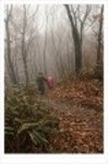 산행기 - ..................우중산행........... 장 안 산  (전북 장수 1237m)..