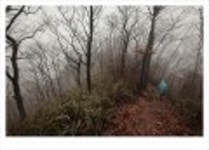 산행기 - ..................우중산행........... 장 안 산  (전북 장수 1237m)..