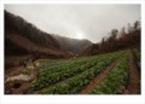 산행기 - ..................우중산행........... 장 안 산  (전북 장수 1237m)..
