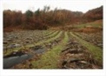 산행기 - ..................우중산행........... 장 안 산  (전북 장수 1237m)..