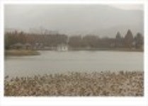 산행기 - ..................우중산행........... 장 안 산  (전북 장수 1237m)..