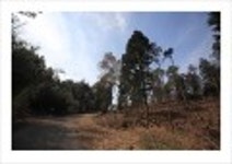 산행기 -  _ _ _ 남녘 땅끝까지 봄마중... 달마산..