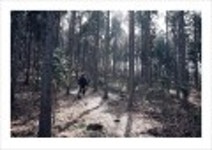 산행기 -  _ _ _ 남녘 땅끝까지 봄마중... 달마산..