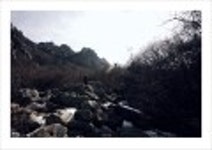 산행기 -  _ _ _ 남녘 땅끝까지 봄마중... 달마산..