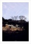 산행기 -  _ _ _ 남녘 땅끝까지 봄마중... 달마산..