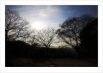 산행기 -  _ _ _ 남녘 땅끝까지 봄마중... 달마산..