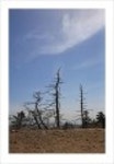 산행기 - _ _ _ 덕 유 산..