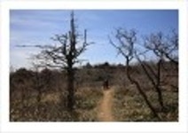 산행기 - _ _ _ 덕 유 산..