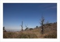 산행기 - _ _ _ 덕 유 산..