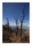 산행기 - _ _ _ 덕 유 산..