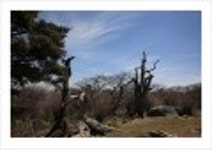 산행기 - _ _ _ 덕 유 산..