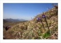 산행기 - _ _ _ 덕 유 산..