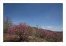 산행기 - _ _ _ 덕 유 산..