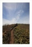산행기 - _ _ _ 덕 유 산..