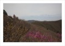 산행기 - _ _ _ 덕 유 산..