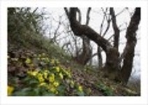 산행기 - _ _ _ 덕 유 산..