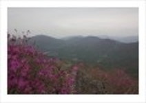 산행기 - _ _ _ 덕 유 산..