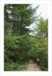 산행기 - _ _ _ 덕 유 산..