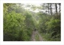 산행기 - _ _ _ 덕 유 산..