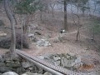 산행기 - 경북 문경의 공덕산(사불산), 반야봉 그리고 천년고찰 대승사