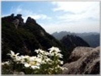 산행기 - ♥  가을로 가는 칠선계곡....... 천왕봉 능선 길.........지리산.