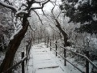 산행기 - 역시 덕유산의 눈꽃은 화려했다.