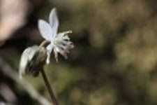 산행기 - 들꽃산행