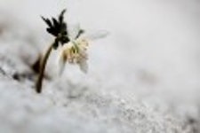 산행기 - 들꽃산행